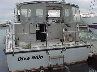 dSeaTruck3e.jpg (10242 bytes)