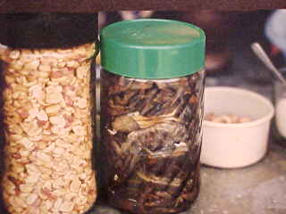 gross04.jpg (10282 bytes)
