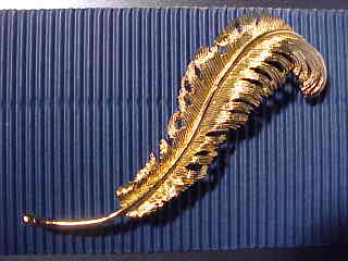 jFeather.jpg (11990 bytes)